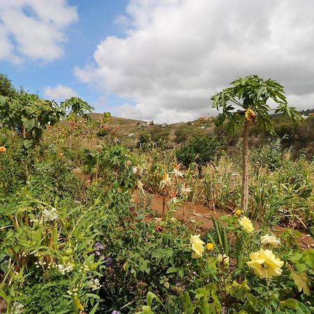 شقة Countryside Views House تيرور المظهر الخارجي الصورة